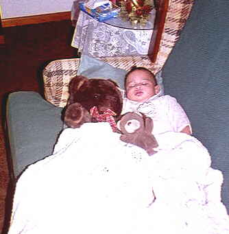 A Teddy Bear Picnic?